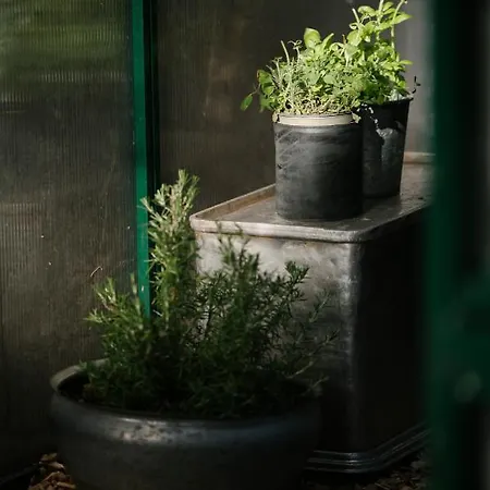 Zum Stubaier Gletscher - Wiesen Σαλέ Telfes im Stubai