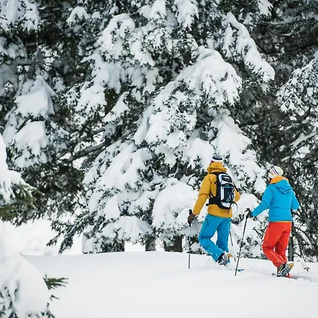 Zum Stubaier Gletscher - Wiesen Σαλέ