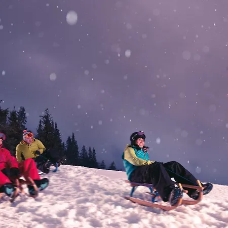 Zum Stubaier Gletscher - Wiesen Telfes im Stubai