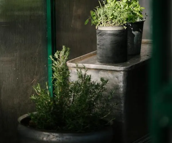 Zum Stubaier Gletscher - Wiesen Dağ evi Telfes im Stubai