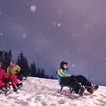 Zum Stubaier Gletscher - Wiesen Telfes im Stubai